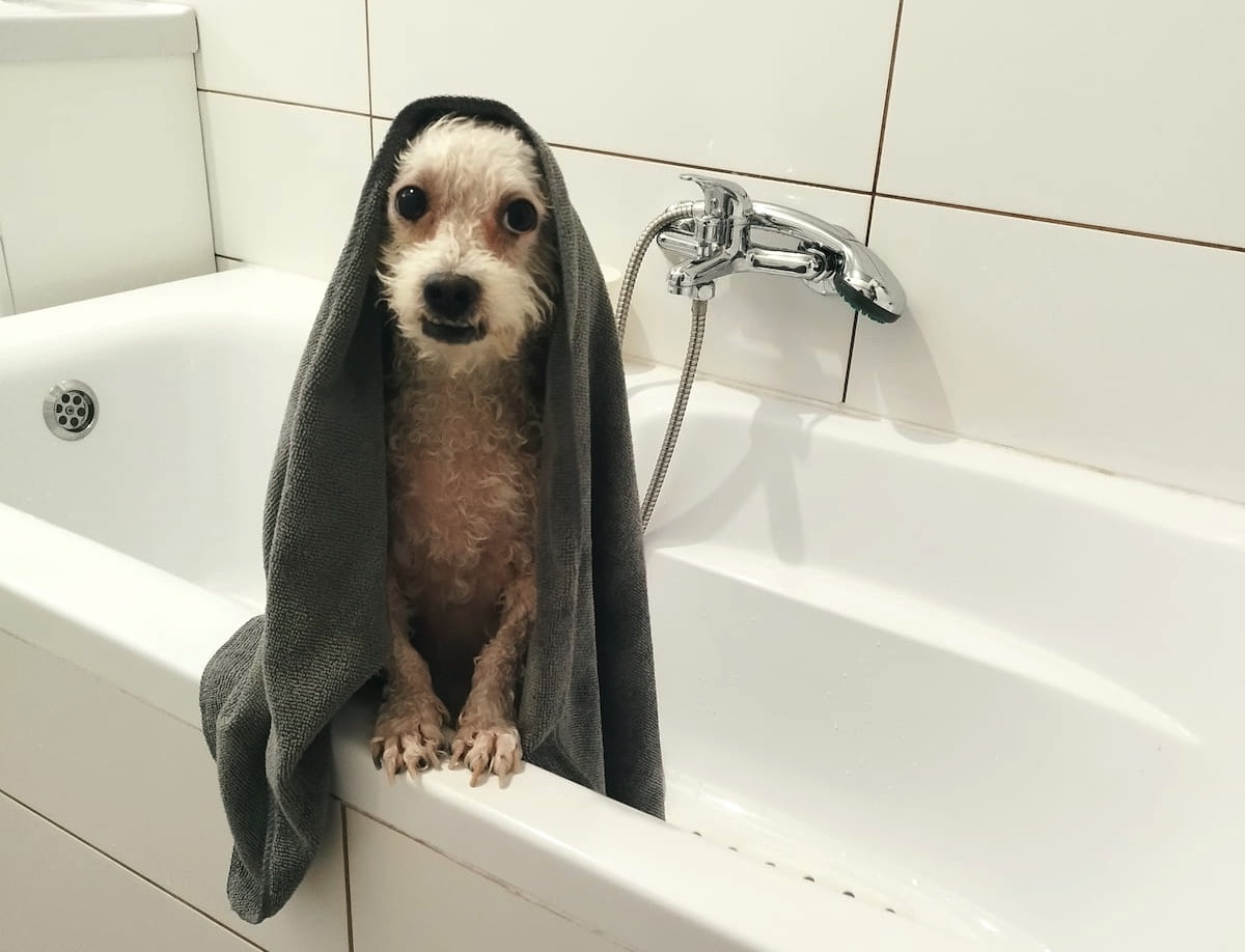 fontos a fürdetés