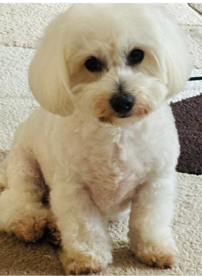 Tina