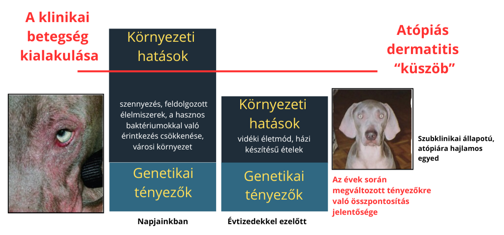 a klinikai betegseg kialakulasa