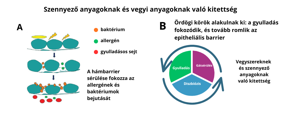 vakarozas szennyezo anyagok